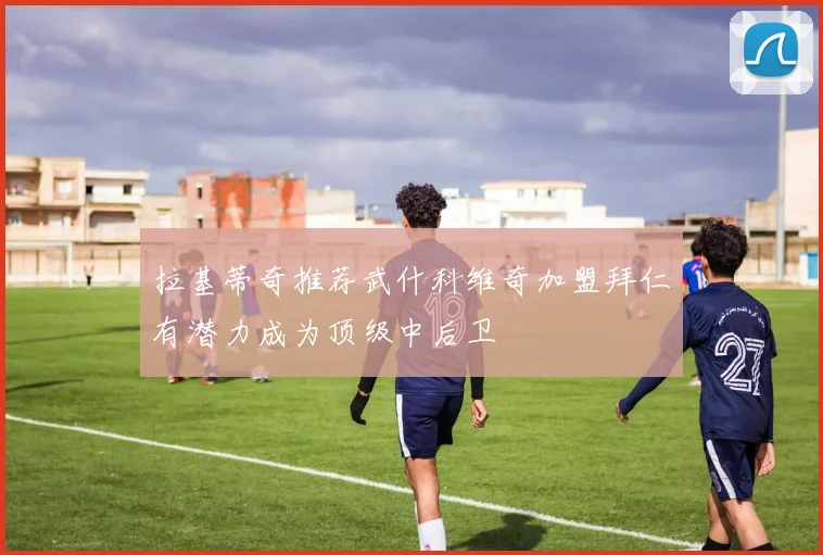 拉基蒂奇推荐武什科维奇加盟拜仁有潜力成为顶级中后卫